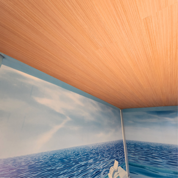 Caribbean Bamboo - SELECT COLLECTION - Vinyl Ceiling - (70 sqft)